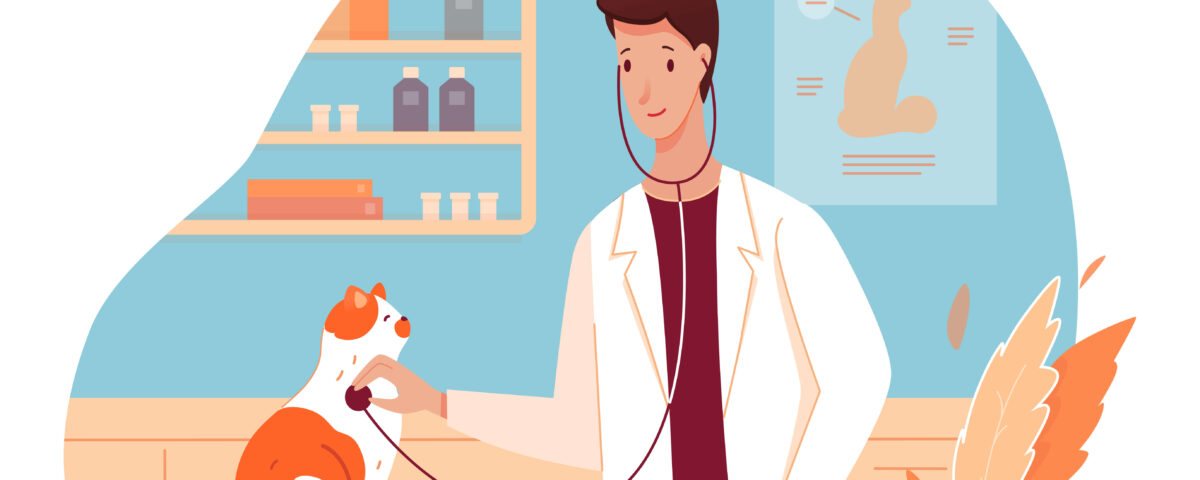 چگونه بیماریهای شایع در حیوانات خانگی را تشخیص دهیم؟ 4 vetclinic 02