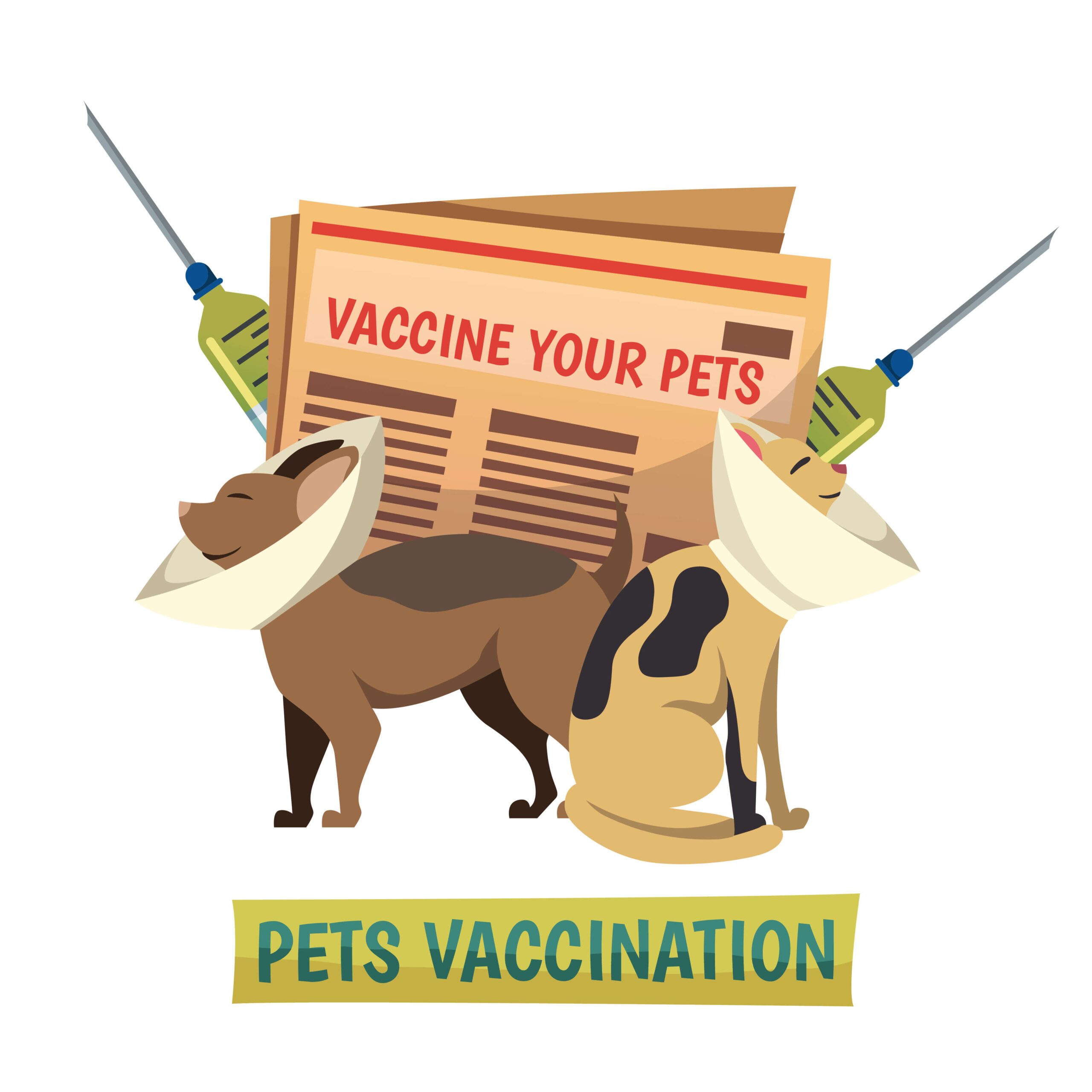 Home 14 5971084 21251 1 scaled